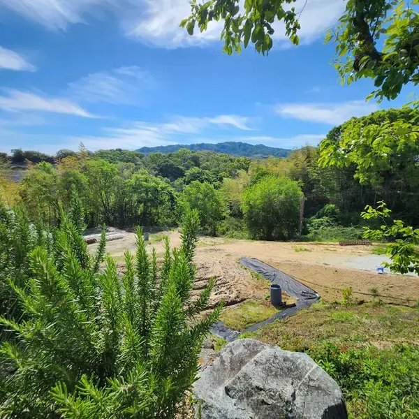 淡路島の農園